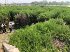 -亲兄弟真人CS团建拓展基地