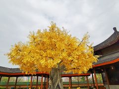 -广东圆玄道观