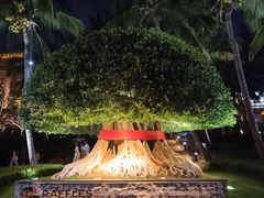 -海南清水湾莱佛士酒店