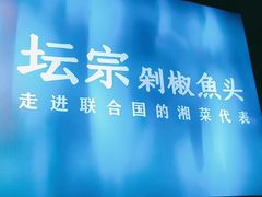 -坛宗剁椒鱼头(河西王府井店)