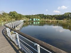 -西湖风景区-江洋畈生态公园