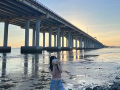 -宝安西湾红树林湿地公园