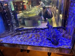 -珍宝轩海鲜火锅(碧湖大厦店)