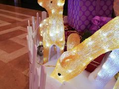 -贵阳世纪金源大饭店·金源自助餐