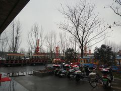 -合肥滨湖国家森林公园