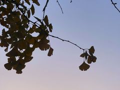 -国际非物质文化遗产博览园
