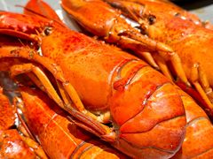-神洲四海大酒楼(王府井澳门中心店)