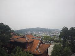 -铁山坪森林公园