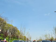 -上海滨江森林公园
