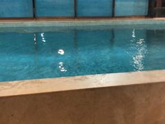 -索菲特游泳·健身·SPA(西湖店)