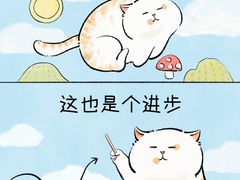 -德瑞姆心理咨询旗舰店