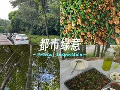 -金水泊山庄·花椒鸡(铁山坪店)