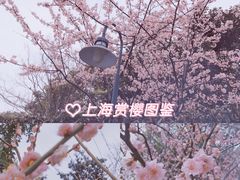 -静安雕塑公园