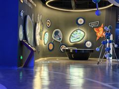 -大益茶庭(勐海会员中心店)