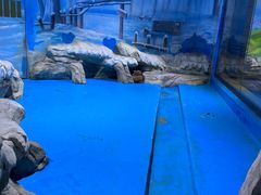 -顺德南宏海立方海洋公园