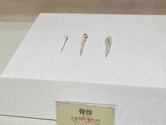 -迪庆藏族自治州博物馆