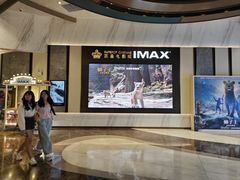 -英皇电影城(平安金融中心IMAX激光店)