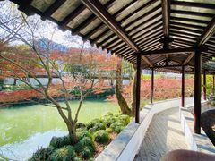 -上海醉白池公园