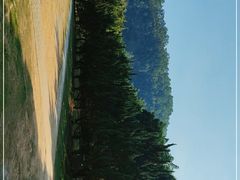-南沙蒲洲花园