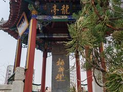 -桃花堤公园
