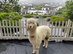 -舟山朱家尖绿城威斯汀度假酒店