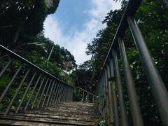 -七仙岭温泉国家森林公园