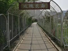 -太阳宫公园