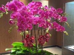 -富淳饭店(陆家嘴保利广场店)