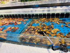-川骄海鲜自助(河东店)