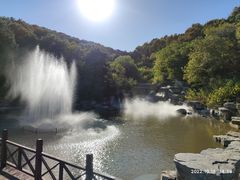 -北京西山国家森林公园