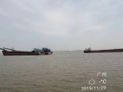 -大湾区中央湿地公园