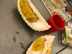 -都念榴莲·城市榴莲