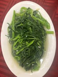 -宝生月子中心·独栋独院式(南山店)