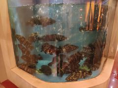 -阿一鲍鱼·20年匠心传承(天河北旗舰店)