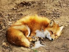 -无锡动物园·太湖欢乐园