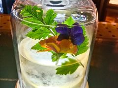 -Hi City·城市之巅