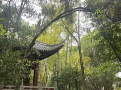 -汇龙潭