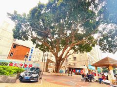 -盛记顺德高佬猪杂粥