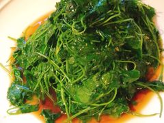 -荷塘秋月·本帮江浙菜(国权路店)