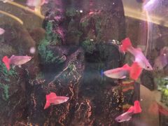 -成都浩海立方海洋公园