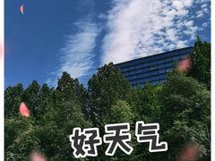 -新浪总部大厦
