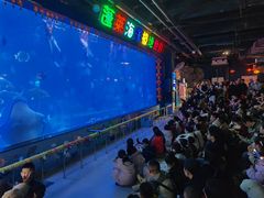 -蓬莱欧乐堡海洋极地世界