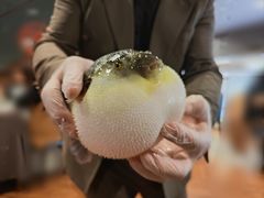 -肆月河豚·新淮扬(金融街店)