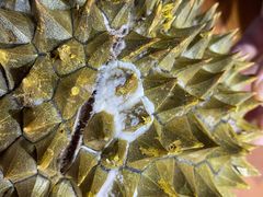 -水果地带(中航国际店)