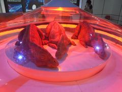 -侏罗纪世界电影特展(广州站)