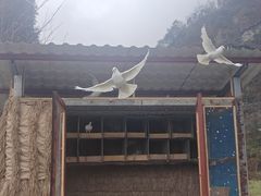 -鹿院坪生态旅游景区
