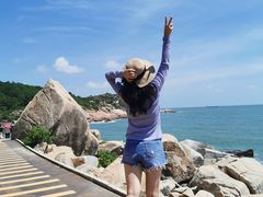 -广东惠东海龟国家级自然保护区