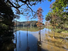 -广州市石门国家森林公园