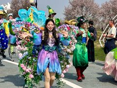 -荷兰花海