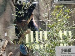 -海合安武汉极地海洋公园